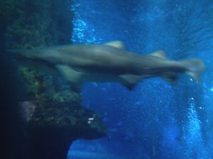 Photo0308