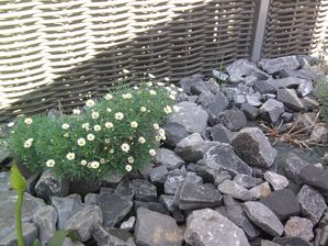Photo0633