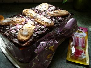 20100321_24.JPG