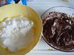 20100321_5.JPG