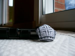Libellule-bisc-portable-masculin-b.JPG