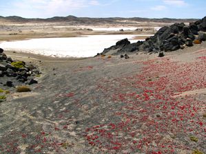 052-LUDERITZ-Pan.JPG