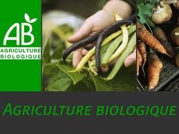 Agriculture-biologique-1.jpg