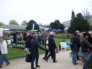 Botanischer-Garten-2014-04-05-009.JPG