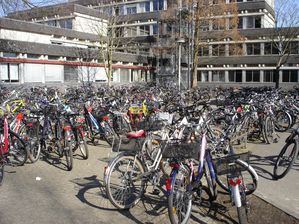 Lecihlingen-059.jpg