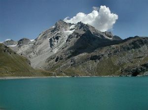 lactignes tres petite