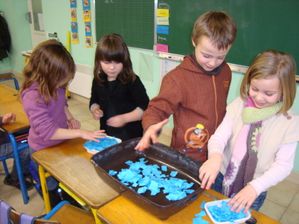 photo 013