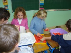 photo 019