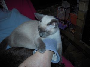 DSCN0377.jpg
