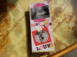 004-copie-2.JPG