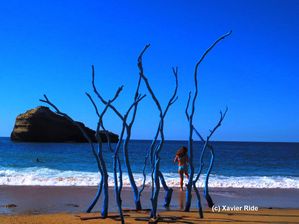 Xavier-RIDE---Mister-RIDE---Land-Art.jpg