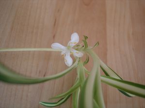 DSC00012