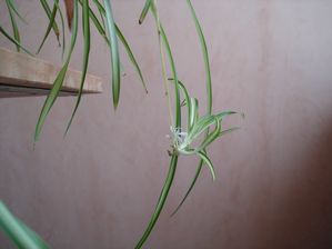 DSC00025