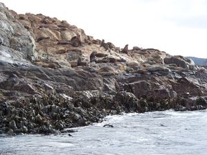 Seals