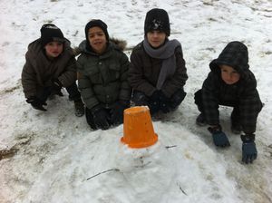 photo1