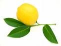 citron-copie-1.jpg