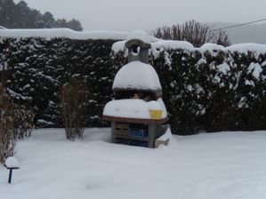 DSCN1713
