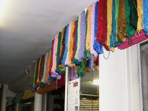 DSCN4107