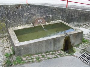 Fontaine du Tilleul (3)
