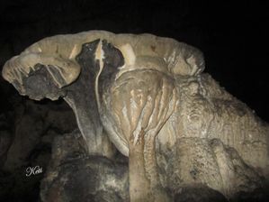 Semuc Champey y las cuevas de Lanquin Gyatemala12