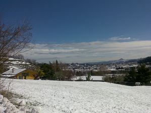10032010008
