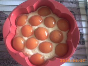 moelleux-aux-abricots--3-.JPG