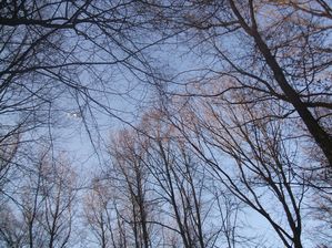 DSCF4602.JPG