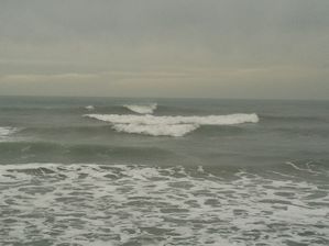 Photo007