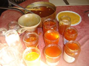 CONFITURE-ABRICOTS-003.jpg