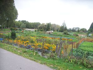 Chemin de Castel (4)