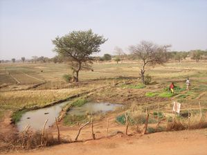 100_2733.JPG