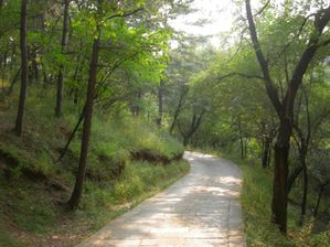 Chengde 0912 011