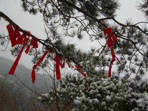 Photos-Pekin-janvier-fevrier-2011-suite-4-014.jpg