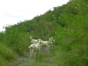 Villages-fantomes-020912-021.jpg