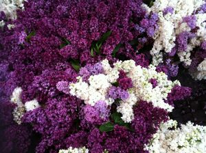 photo-copie-12