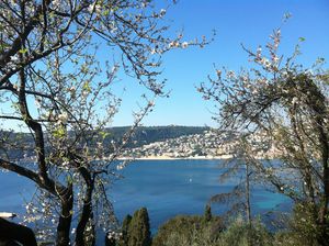 photo_2-copie-5.JPG