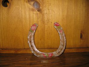 Fer à cheval 01