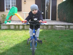 IMG_0003.JPG