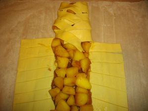 Début de la tresse