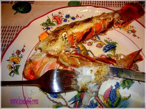 langouste
