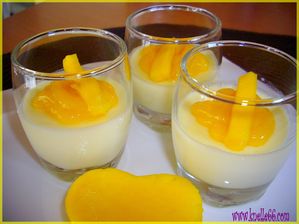 Panna cotta Rhum-mangue4