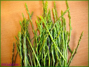 asperges sauvages