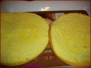 genoise1