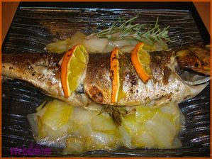 loup au citron et romarin2