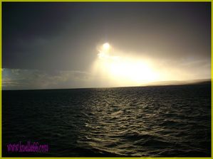 CIEL1