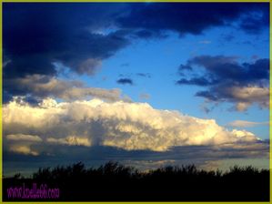 CIEL4
