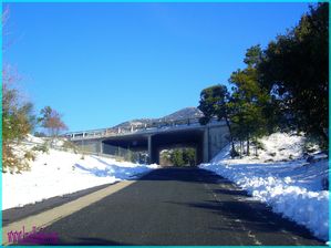 NEIGE 2010 022