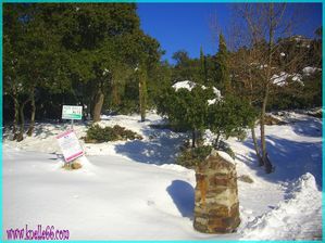 NEIGE 2010 049
