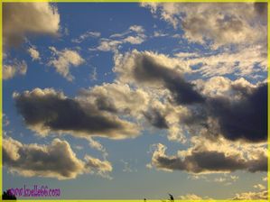 NUAGES