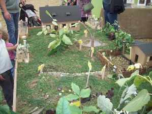 FETE DU POTIRON ANTOING (9)